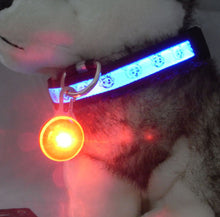 Bright Dog Pet LED Night Safety Flash Light for Collar, Push Button Switch Flashing Pet Dog Collar LED Glowing Collar Accessorie